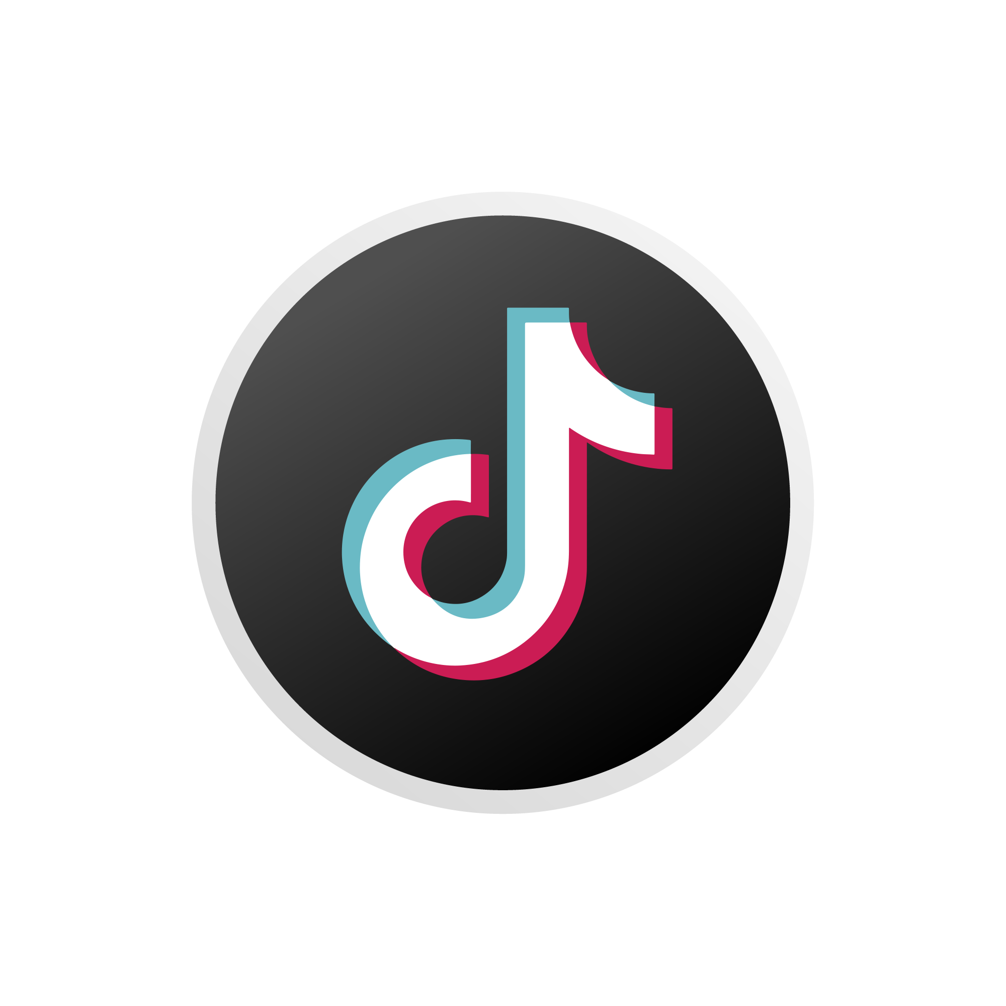 Twin Oaks Imaginations on TikTok